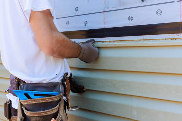 Affordable Vinyl Siding solutions in Ward, CO